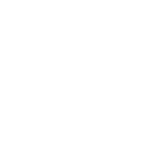 Icon Prozente